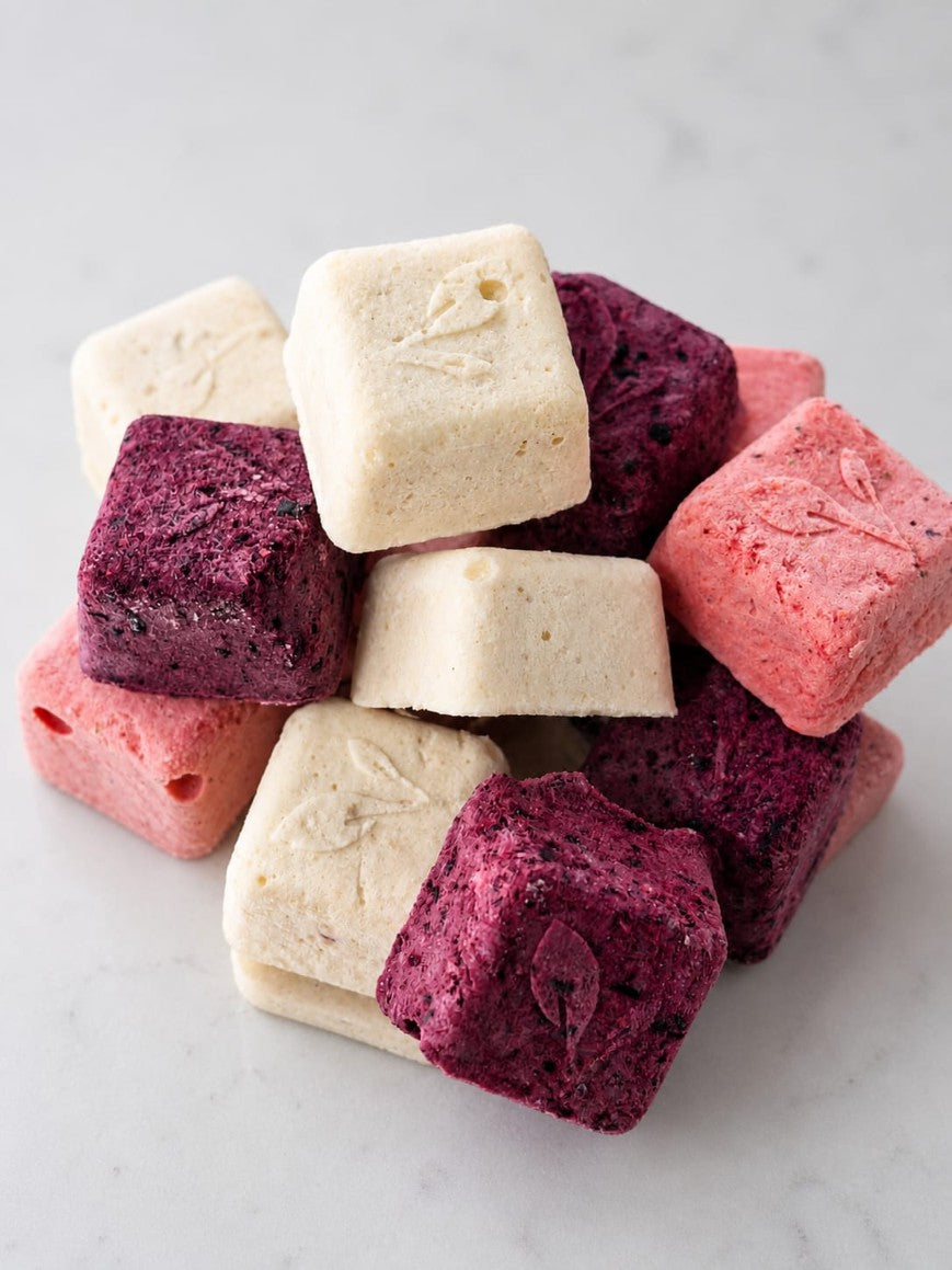 Freeze Dried Snacks - Yogurt Bites - Strawberry/Blueberry/Banana and Pineapple Mixed
